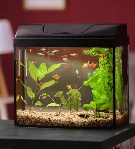 Aquariums